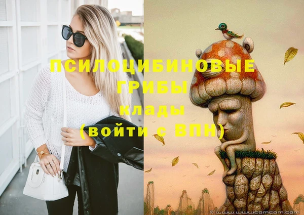 МДПВ Армянск