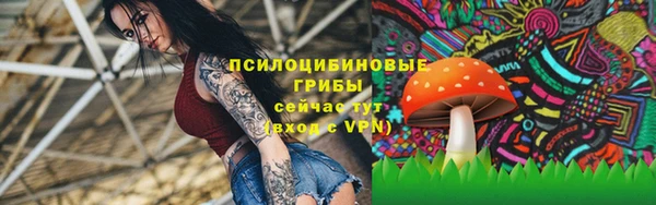 прущая мука Баксан