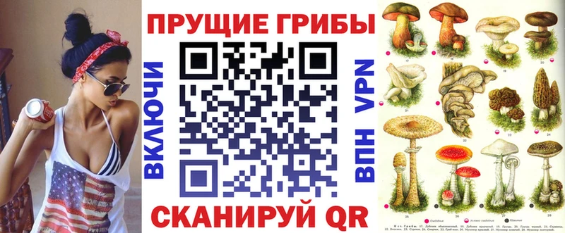 Галлюциногенные грибы мицелий  купить   Пошехонье 