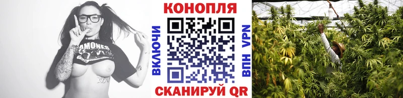 Шишки марихуана планчик Пошехонье